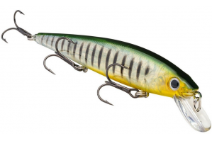 Strike King KVD 300 Jerkbait