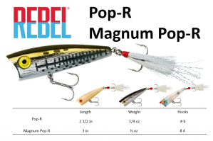 Rebel Pop-R