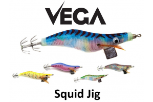 Vega Squid Jig