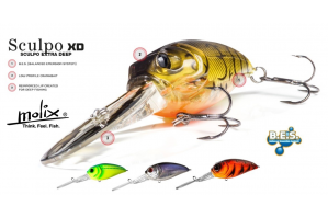 Molix Sculpo XD Silent