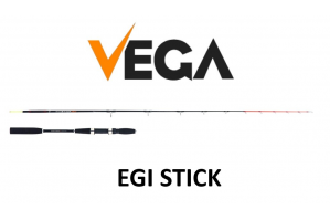 Vega EGI STICK 2,10m