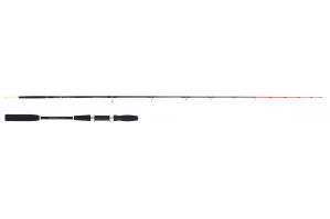 Vega EGI STICK 2,10m