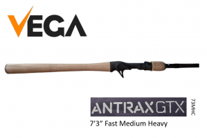Vega Antrax GTX 73MHC