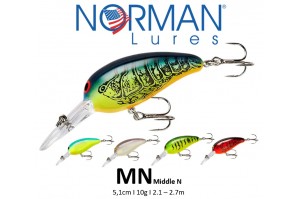 Norman Middle N