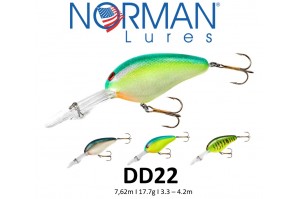 Norman DD22