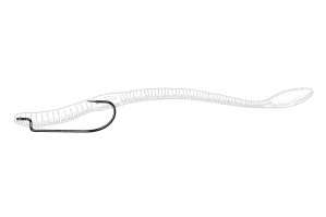 Owner offset Worm