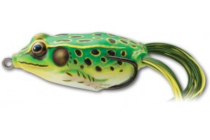 Live Target Hollow Body Frog