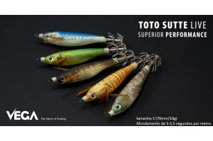 Vega Toto Sutte Live