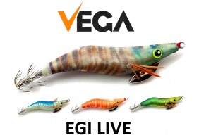 Vega EGI LIVE
