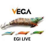 Vega EGI LIVE