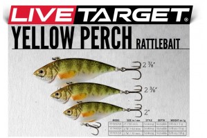 Live Target Yellow Perch Rattlebait