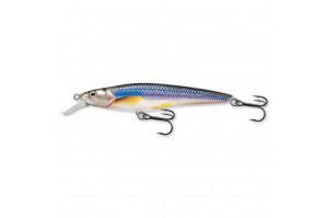Live Target Rainbow Smelt Shallow Dive