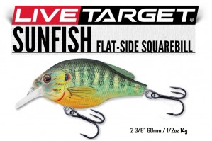 Live Target Sunfish Flat-Side Square Bill
