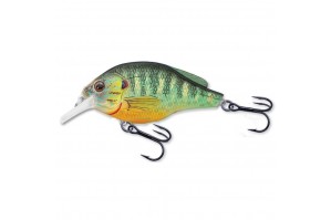 Live Target Sunfish Flat-Side Square Bill