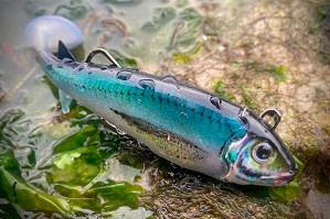 Ruã Lures Saba