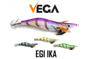 Vega EGI IKA