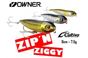 Owner Zip´N Ziggy