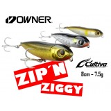 Owner Zip´N Ziggy