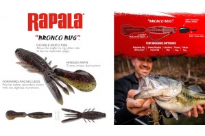 Rapala CrushCity Bronco Bug 4in