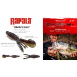 Rapala CrushCity Bronco Bug 4in