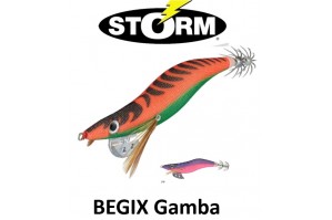 Storm Begix Egi