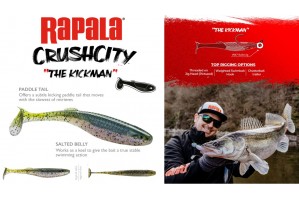 Rapala CrushCity The Kickman 3in