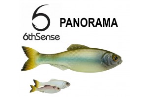 6th Sense Panorama