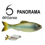 6th Sense Panorama