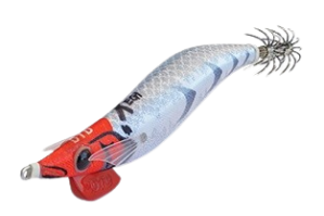 DTD X Egi