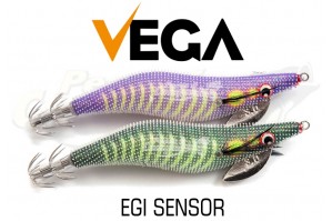 Vega Egi Sensor
