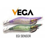 Vega Egi Sensor