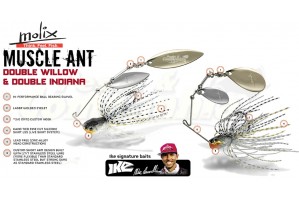 Molix Muscle Ant