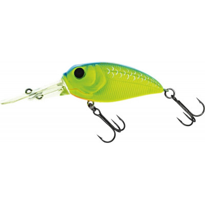 Molix Sculpo DR Silent