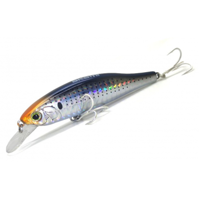 Akami Magnetic Bullet