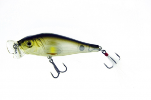 Molix Shaman 33 Tigre Ardente