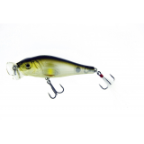 Molix Shaman 49 The verde