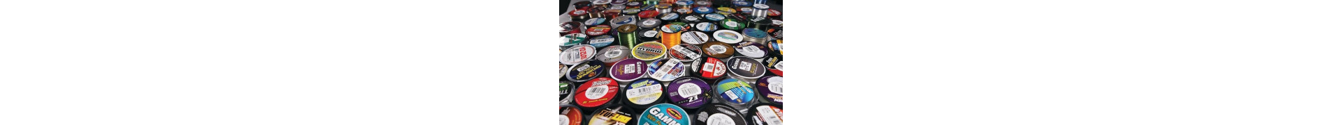 Fishing Line Carpa / Coup