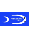 Prosargos Team